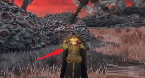 艾尔登法环怎么变身 艾尔登法环变身攻略详解