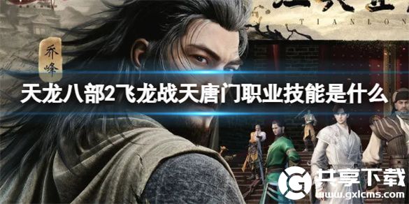 天龙八部2飞龙战天