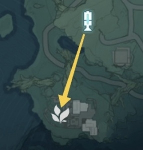 鸣潮金阳凤最全采集路线