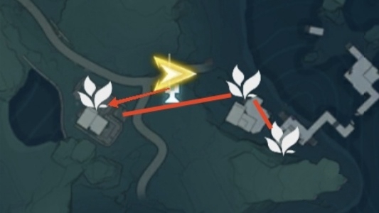 鸣潮金阳凤最全采集路线