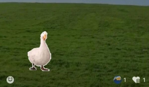 微信农场状态怎么设置 微信农场设置步骤介绍 状态农场设置方法详解