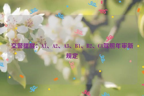 交警提醒：A1、A2、A3、B1、B2、C1驾照年审新规定