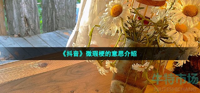 《抖音》微瑕梗的意思介绍