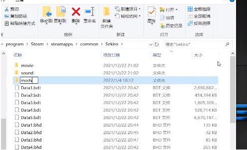 只狼光头强mod怎么安装-只狼光头强mod安装方法教程图片4