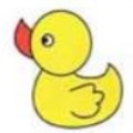 小黄鸭精品视频app破解版
