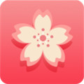 梅花视频下载汅app免费
