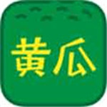 黄瓜丝瓜绿巨人樱桃京东