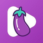 茄子视频www在线观看网址