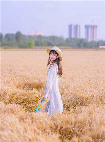 茄子视频在线观看视频播放永久免费版截图3