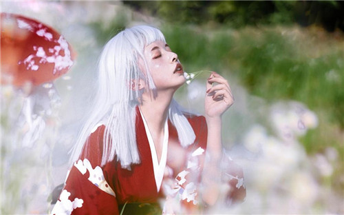 草莓香蕉樱桃黄瓜丝瓜榴莲截图3