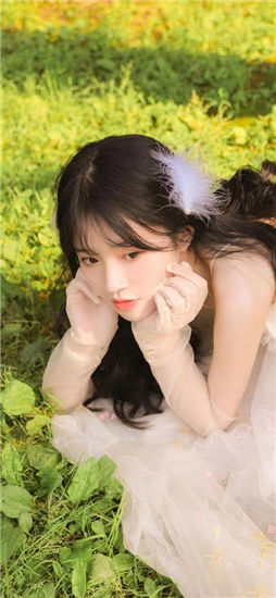 蘑菇视频下载安装ios截图2