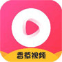 香草视频污下载app污