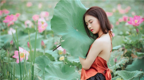 丝瓜黄瓜草莓向日葵秋葵榴莲手机版免费截图2