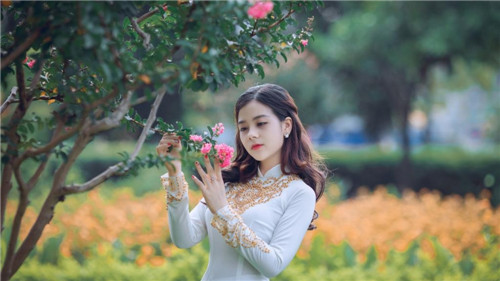 丝瓜黄瓜草莓向日葵秋葵榴莲手机版免费截图1