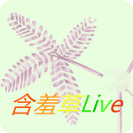 含羞草传媒app下载免费