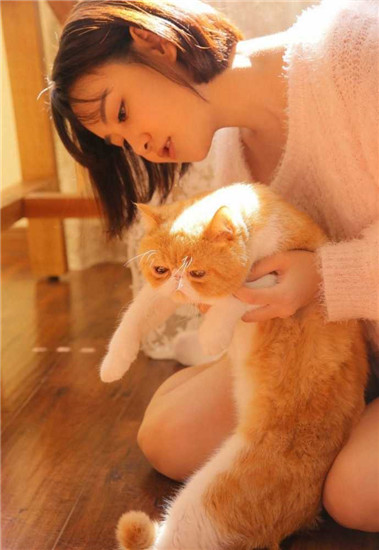 野花视频在线手机免费观看完整版截图2
