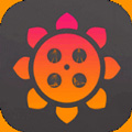 xrk130apk向日葵视频ios版