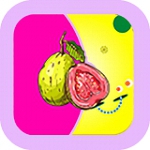 芭乐App站长统计进去下载