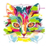 小花猫视频app下载