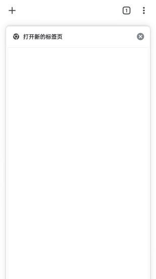 谷歌浏览器下载中文版截图3