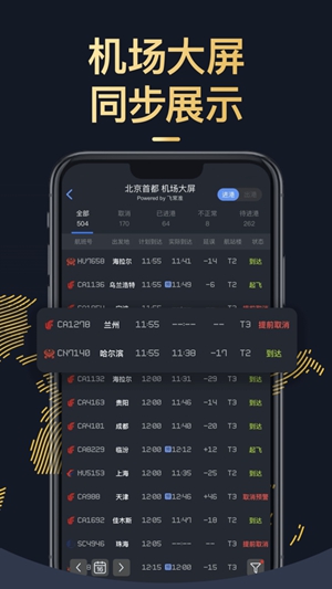 飞常准Pro下载2024最新版截图2