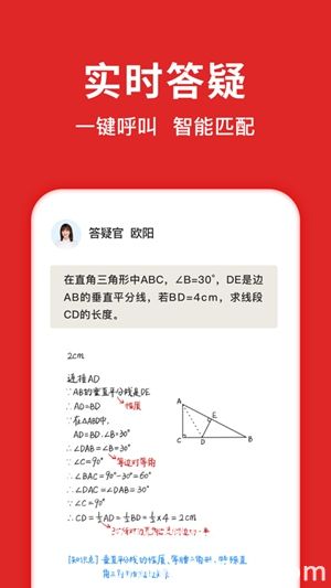 题拍拍手机版2023官方下载截图1